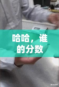 第377页