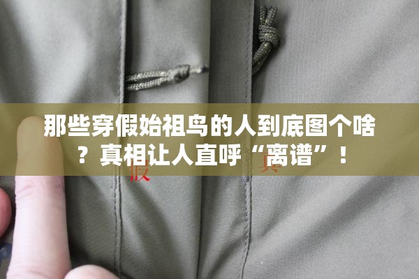 那些穿假始祖鸟的人到底图个啥？真相让人直呼“离谱”！