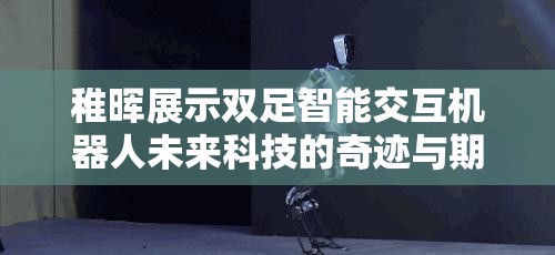 稚晖展示双足智能交互机器人未来科技的奇迹与期待