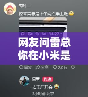 网友问雷总你在小米是做什么的