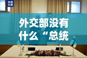 外交部没有什么“总统”？真相让人直呼“好家伙”！