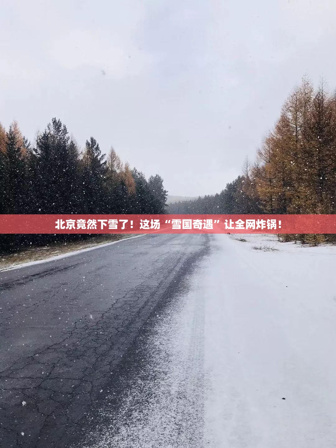 北京竟然下雪了