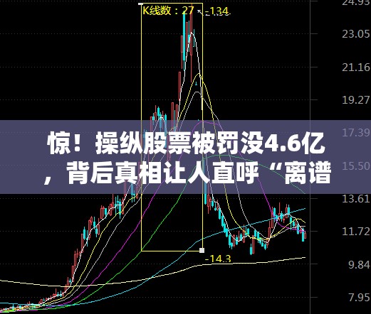 操纵股票被罚没4.6亿