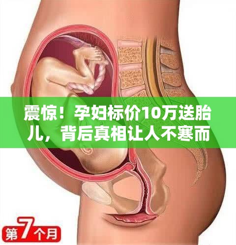 震惊！孕妇标价10万送胎儿，背后真相让人不寒而栗！