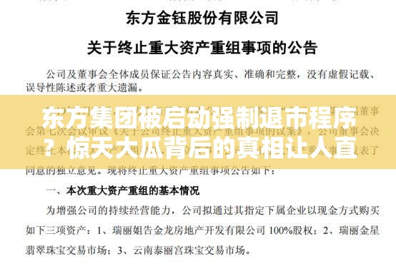 东方集团被启动强制退市程序