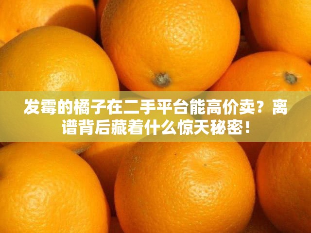 发霉的橘子在二手平台能高价卖