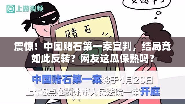 中国赌石第一案宣判