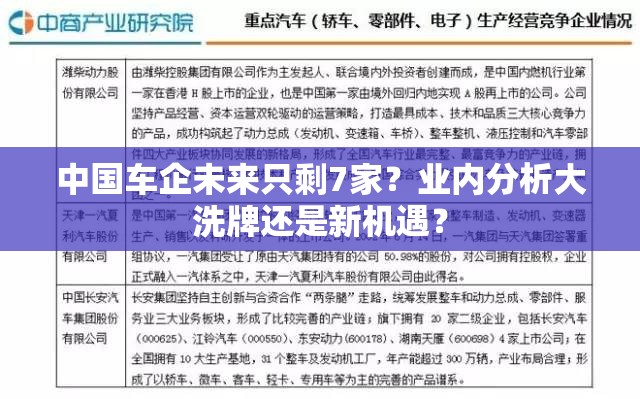 中国车企未来只剩7家？业内分析大洗牌还是新机遇？